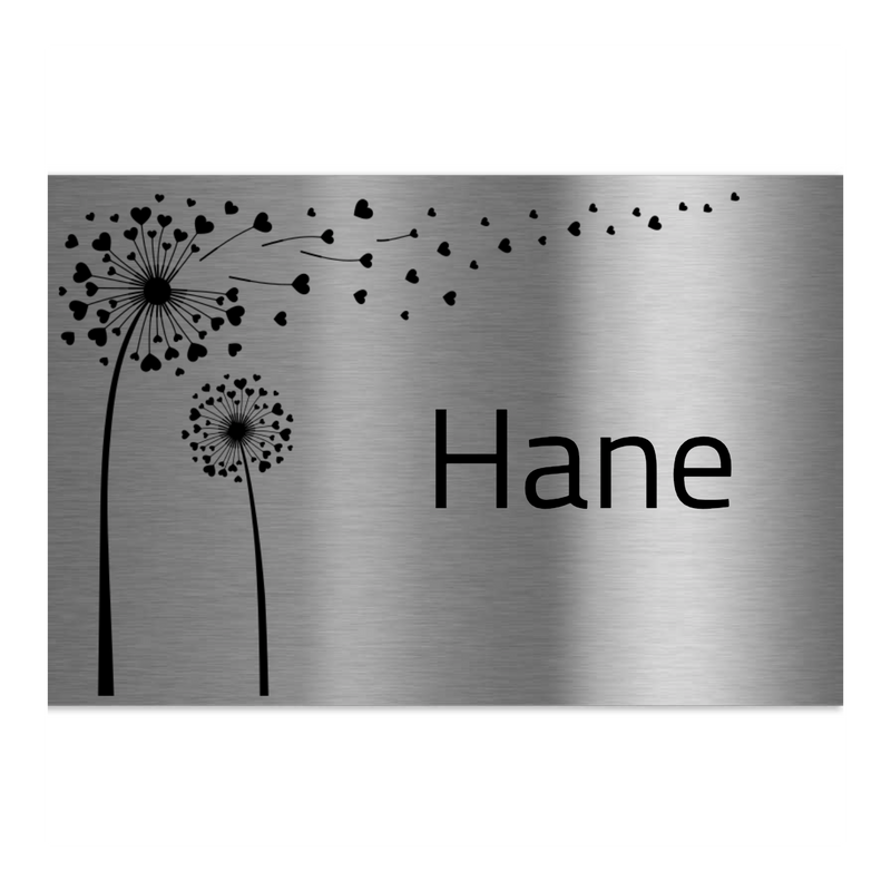V2A Edelstahlschild in verschiedenen Größen, individuell personalisierbar.