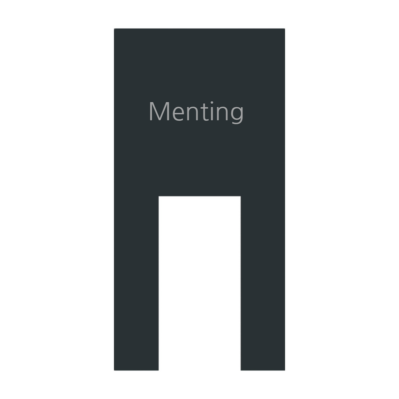 Dekorschild für "Ring Doorbell Wired" aus V2A Edelstahl - 200 x 130 mm oder 100 x 200 mm  - Weiß / Anthrazit pulverbeschichtet oder Edelstahl gebürstet