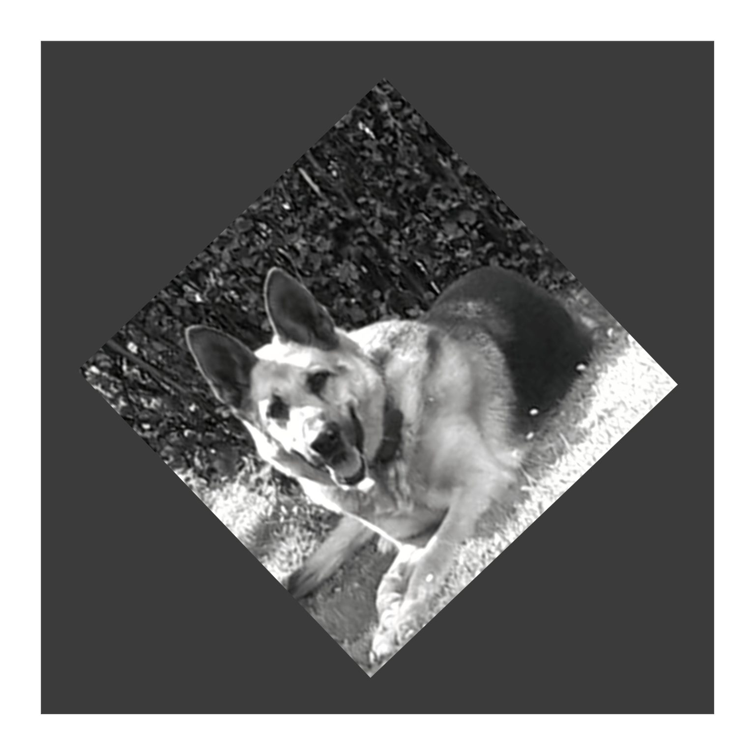 Jung-Edelstahl-Design