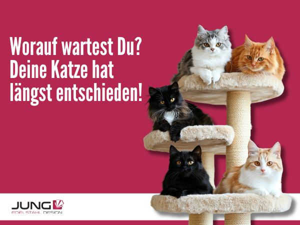 Türschild mit Katzenmotiv - personalisierbar - V2A Edelstahl