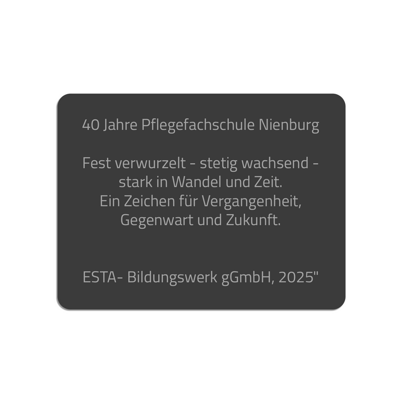 Gedenktafel V2A Edelstahl – viele Sprüche – 20x15 oder 30x20 cm