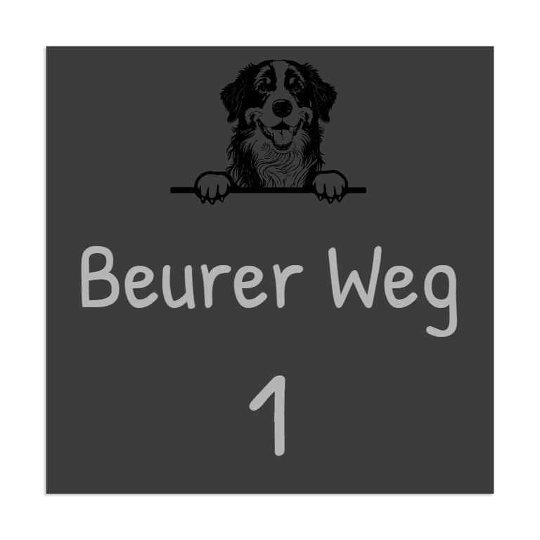 Farbige Edelstahlschilder in verschiedenen Größen. Individuell personalisierbar 40 Schriftarten über 200 Motive.