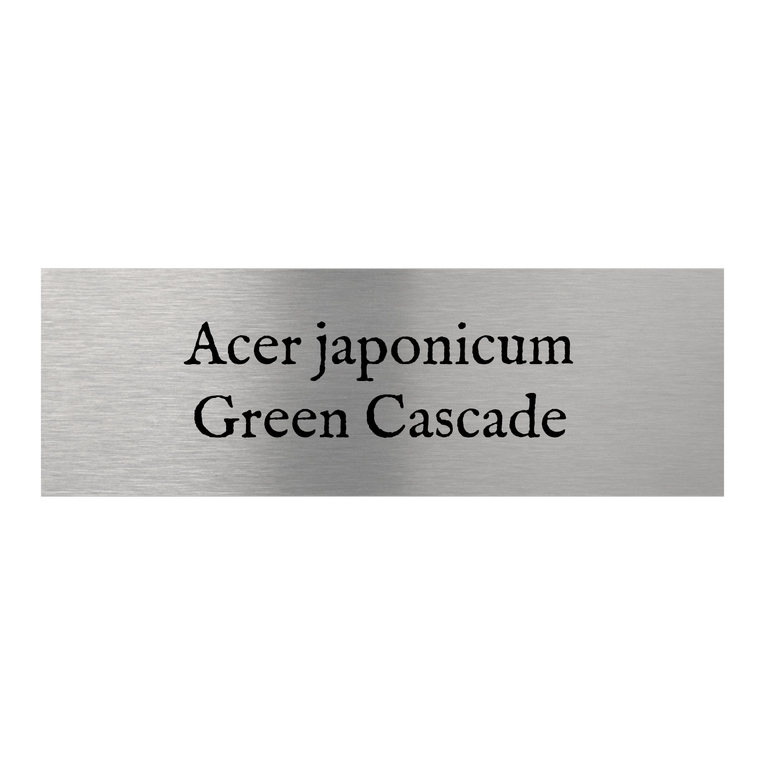 Jung-Edelstahl-Design