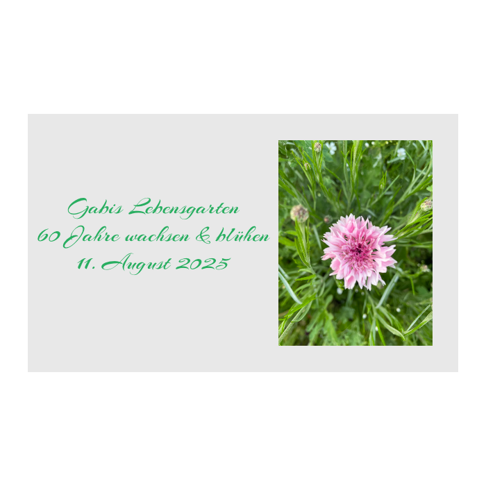 Jung-Edelstahl-Design