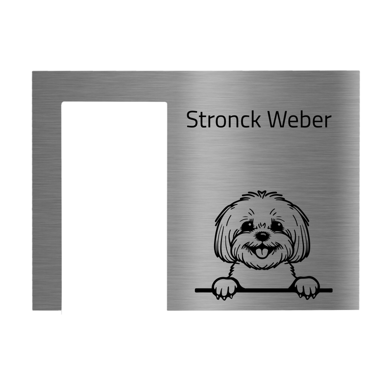 V2A Edelstahl Türschild für Ring Videotürklingel - 200x145mm - Lasergravur oder UV-Druck - Weiß/Anthrazit/Gebürstet
