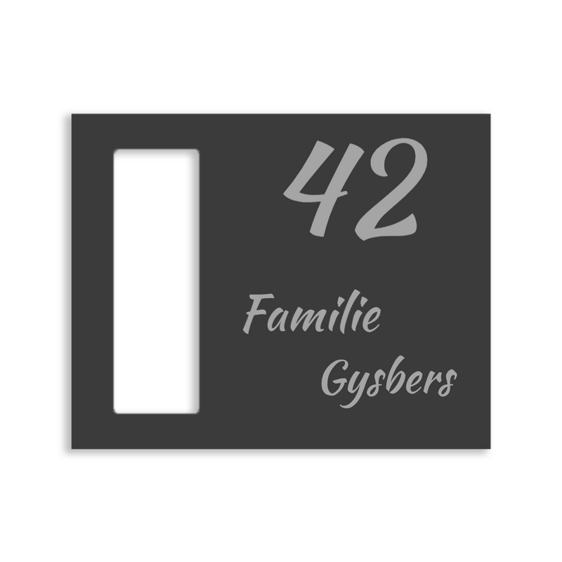 Dekorschild für Eufy S220 - V2A Edelstahl Türschild 16x20cm oder 22x10cm - Weiß/Anthrazit/Gebürstet