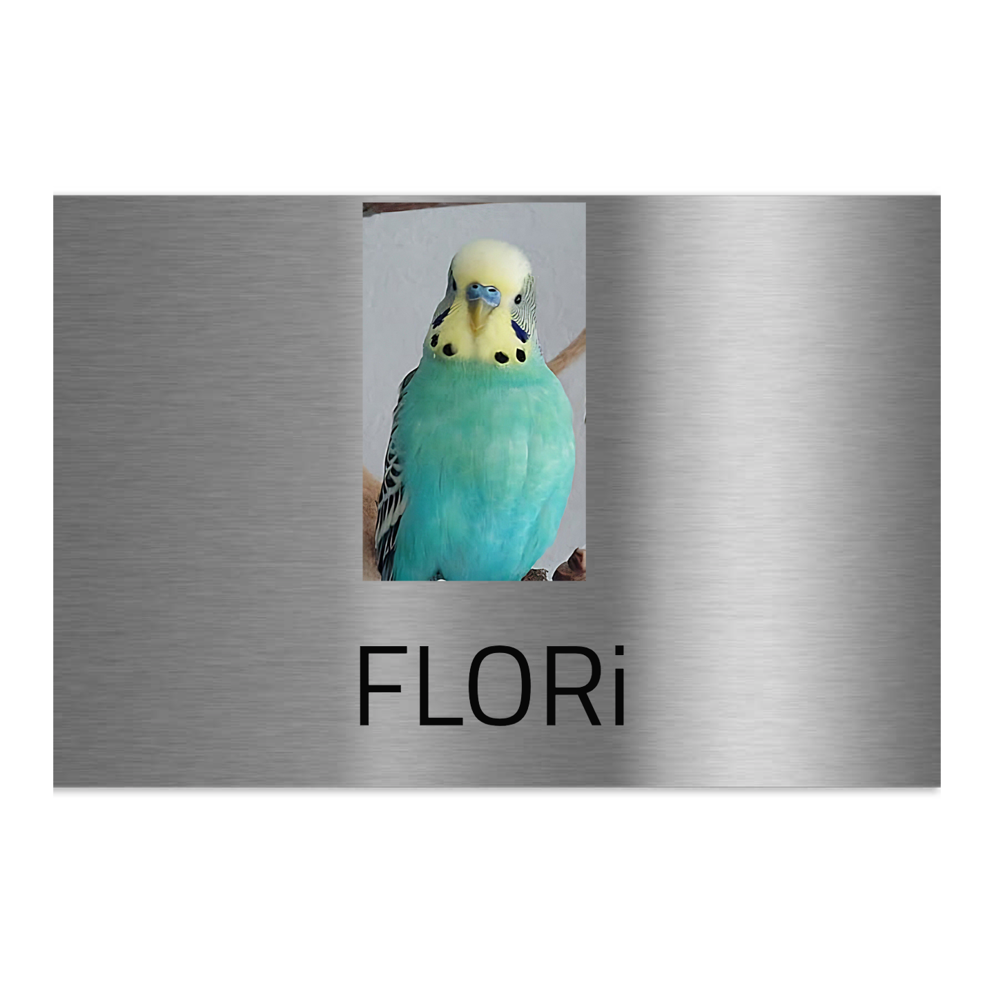 Jung-Edelstahl-Design