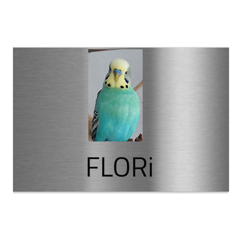 V2A Edelstahlschild in verschiedenen Größen, individuell personalisierbar.