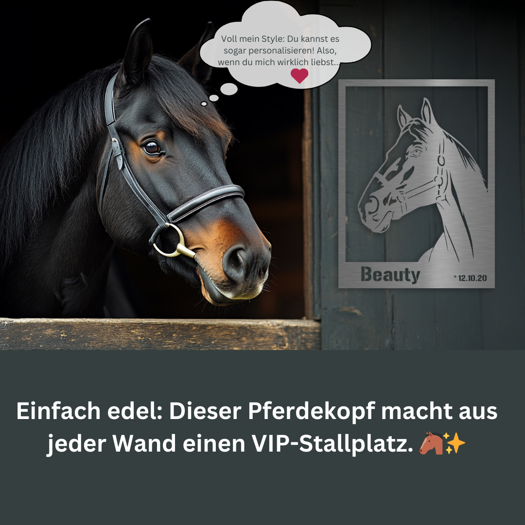 Pferd schaut aus dem Stallfenster mit Edelstahlschild „Beauty“ an der Wand – personalisierbare Pferdedeko für echte Pferdefreunde. Text: Dieser Pferdekopf macht aus jeder Wand einen VIP-Stallplatz.
