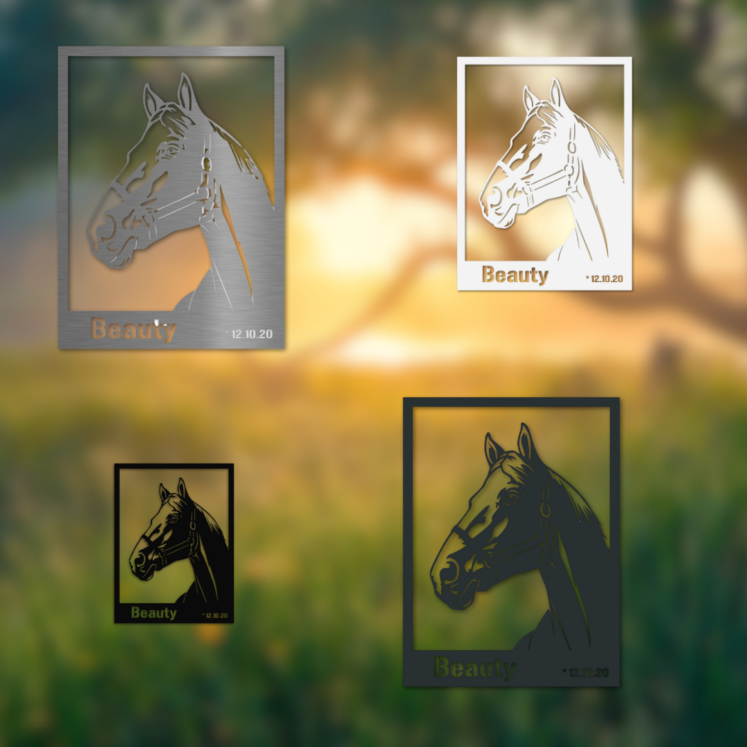 Dekoschild Pferdekopf „Beauty“ aus V2A Edelstahl – Varianten in Edelstahl geschliffen, Weiß, Schwarz und Anthrazit, als personalisierbares Wandbild für Pferdefreunde.

