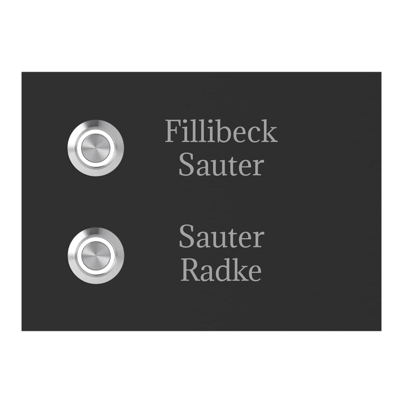 Frankfurt 14 x 10 cm Edelstahl (V2A) Türklingel - Zweifamilienhaus Klingel - mit Gravur - Anthrazit oder Weiß - LED - Aufputz / Unterputz