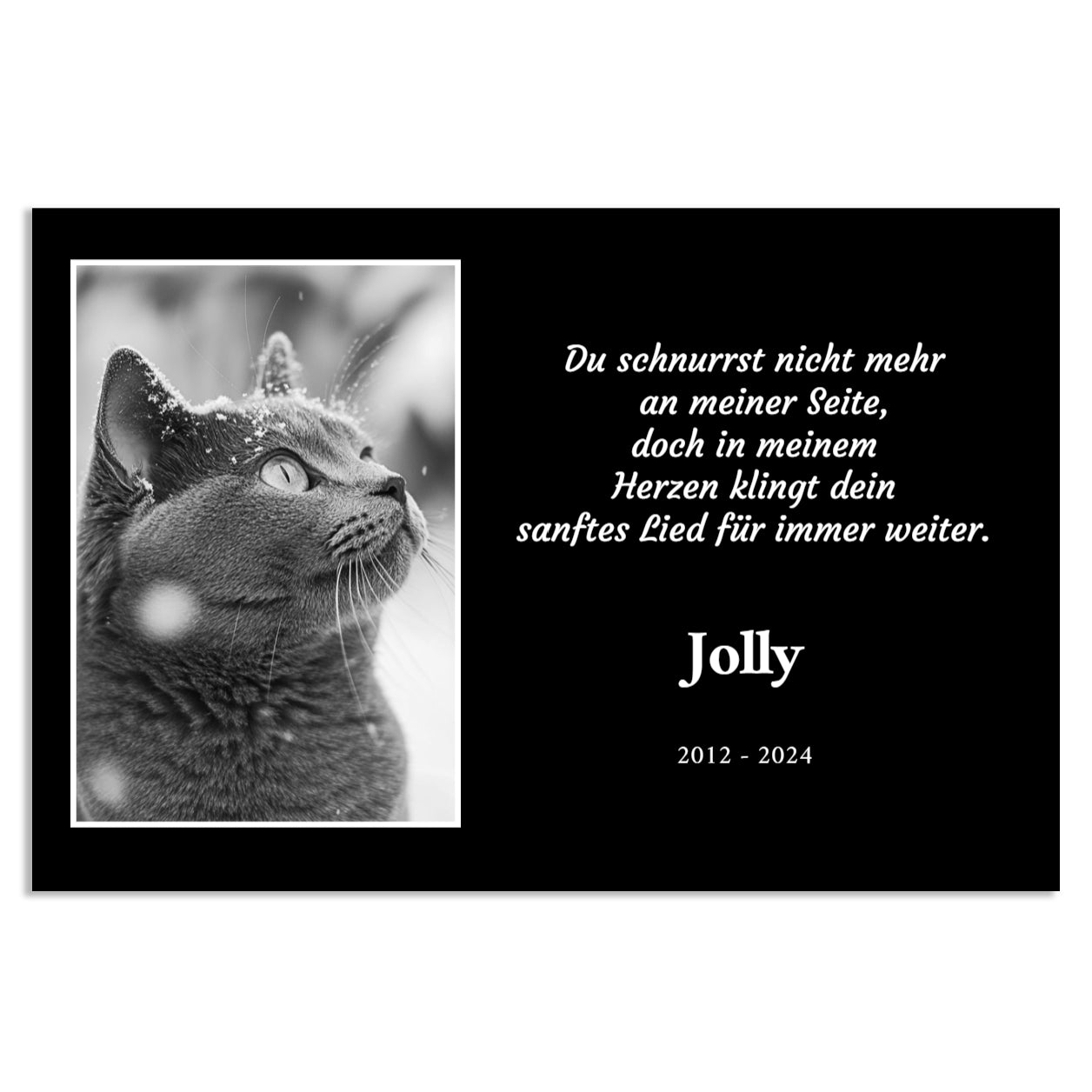 Gedenktafel für Katze Jolly mit Foto, Spruch und Lebensdaten 2012–2024“