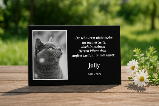 Katzen-Gedenktafel für Jolly mit Foto, Spruch und Lebensdaten, aufgestellt im Garten neben weißen Gänseblümchen
