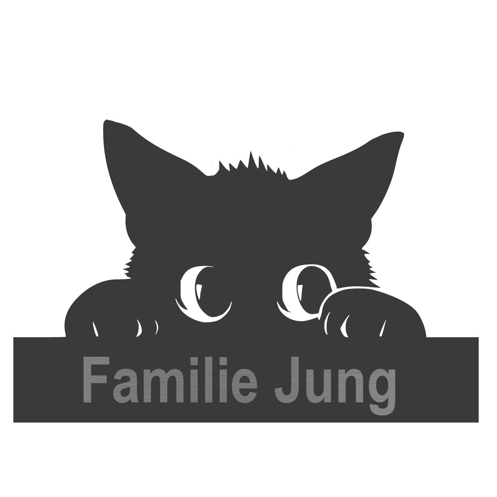 Anthrazitfarbenes Katzenschild aus V2A Edelstahl mit Personalisierung „Familie Jung mit Kater Tom“ – wetterfest und modern
