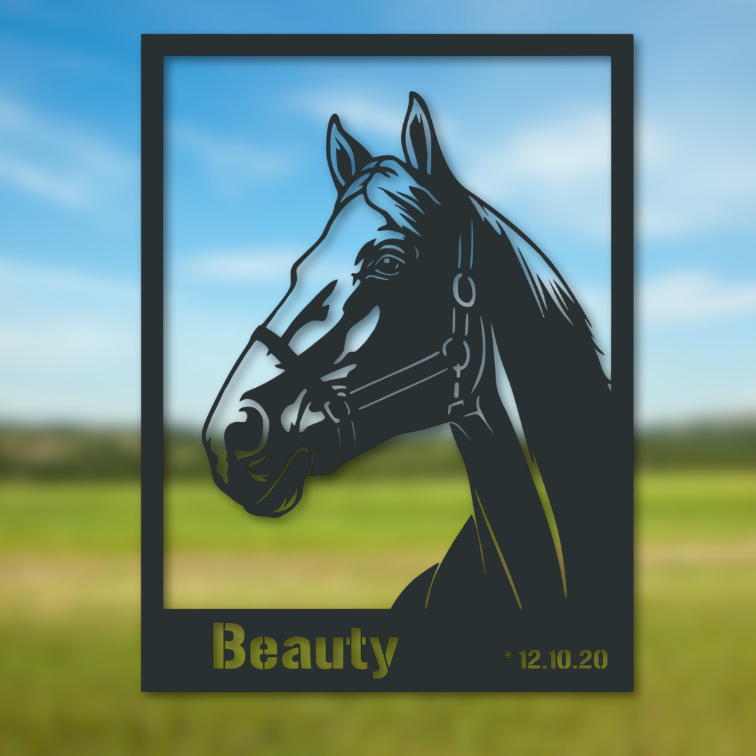 Personalisiertes Pferdeschild „Beauty“ aus V2A Edelstahl in 20–60 cm – in geschliffenem Edelstahl V2a, schwarz, weiß oder anthrazit pulverbeschichet erhältlich. Ideal als Namensschild für Stall oder Garten.

