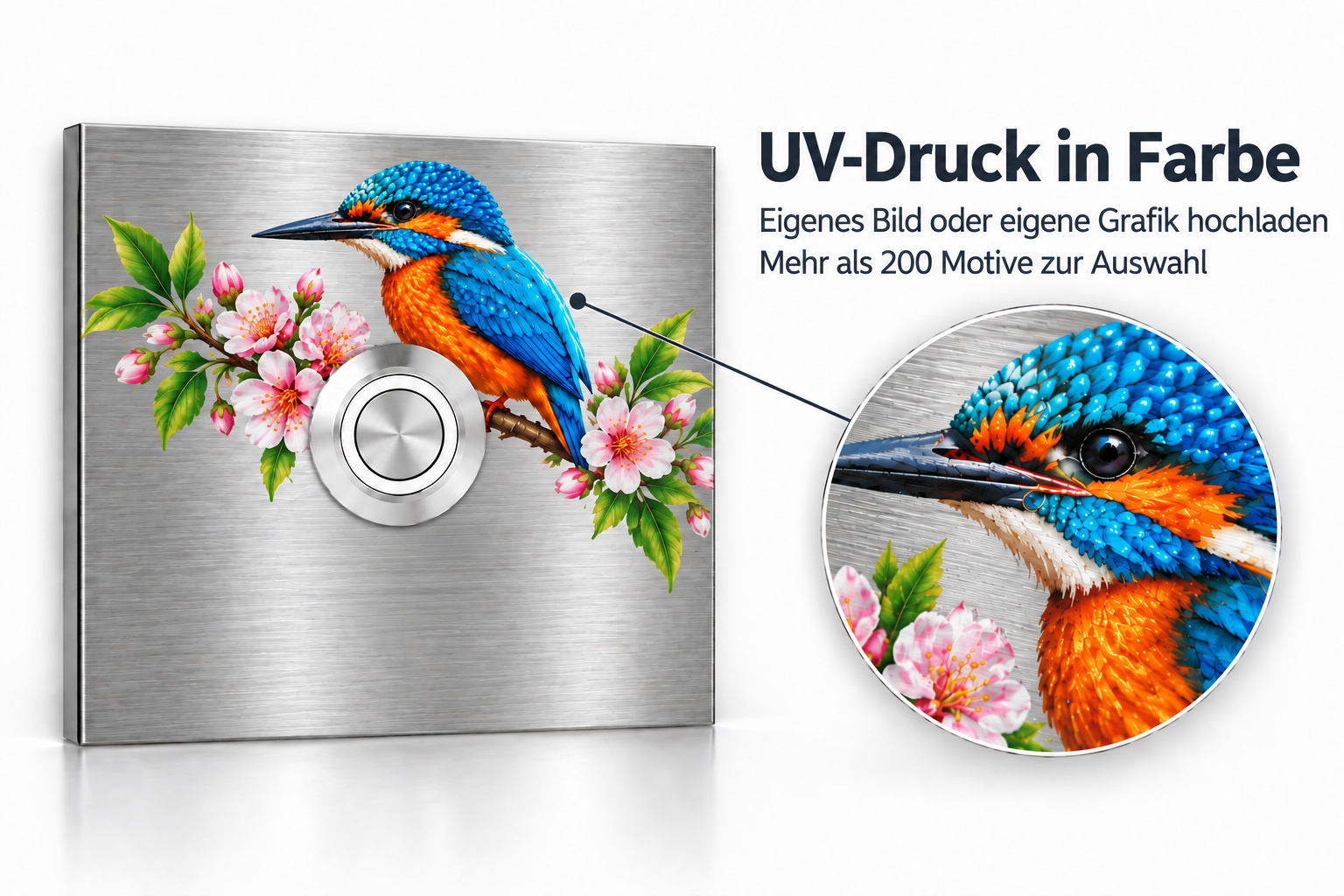 Türklingel Bochum aus V2A-Edelstahl mit farbigem UV-Druck eines Eisvogels