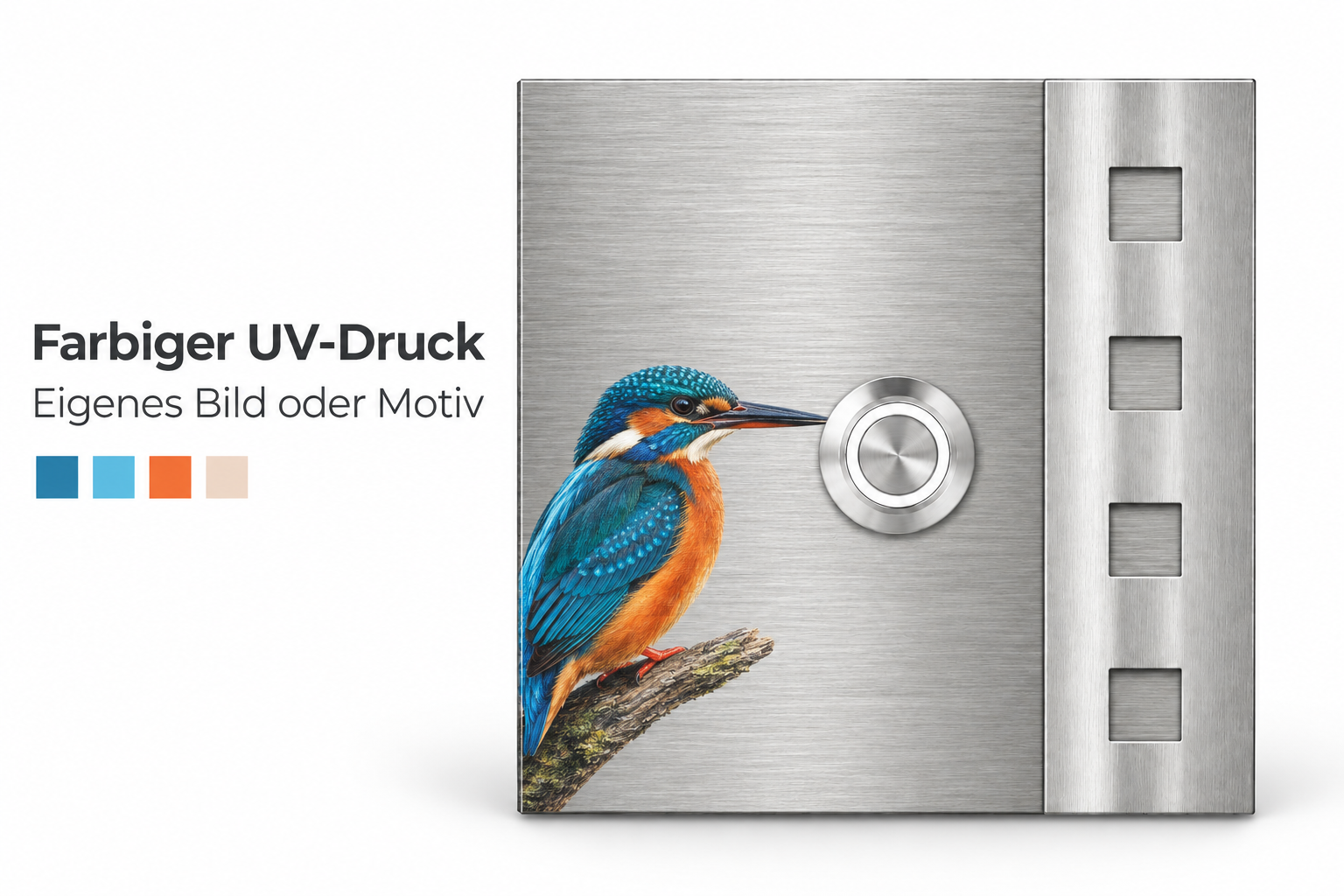 Türklingel Chicago aus V2A-Edelstahl mit farbigem UV-Druck eines Eisvogels