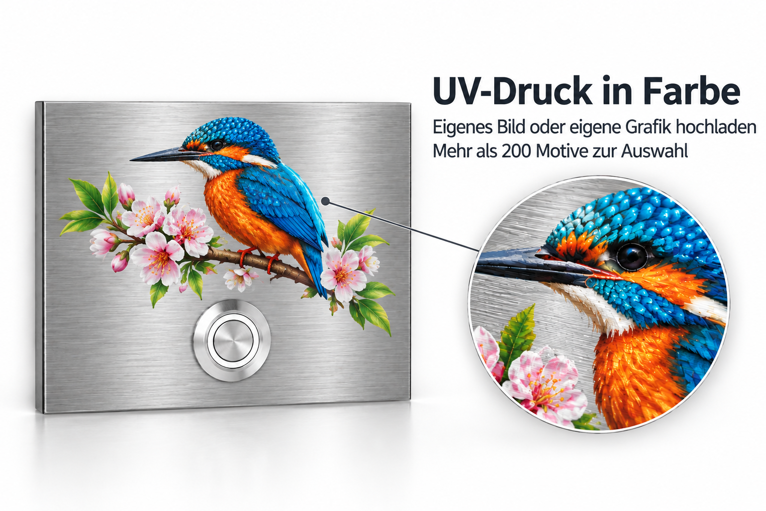 Türklingel London aus V2A-Edelstahl mit farbigem UV-Druck eines Eisvogels
