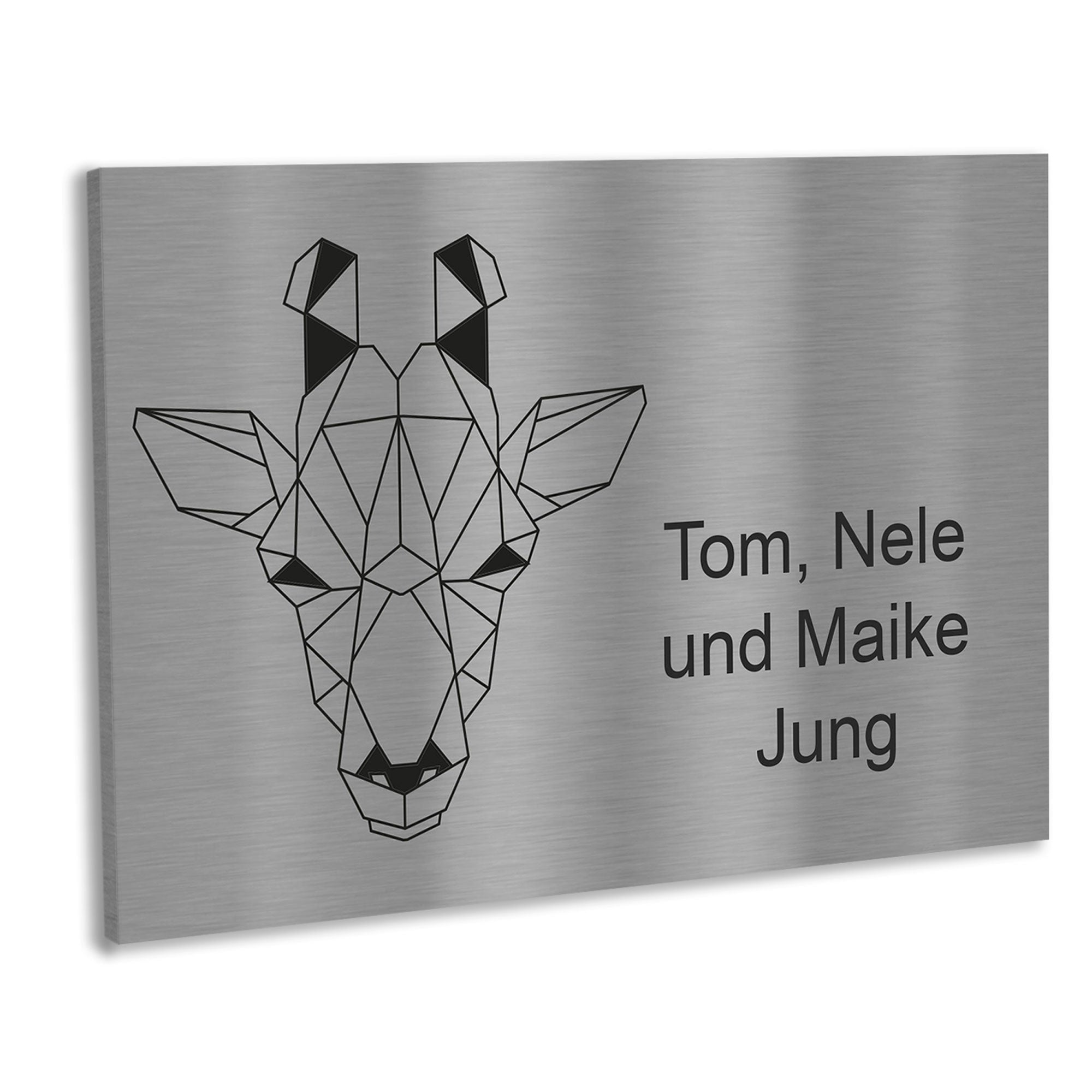 Edelstahlschild Geometrische Figuren,120 X 80 mm, Anthrazit, Weiß, oder Edelstahl