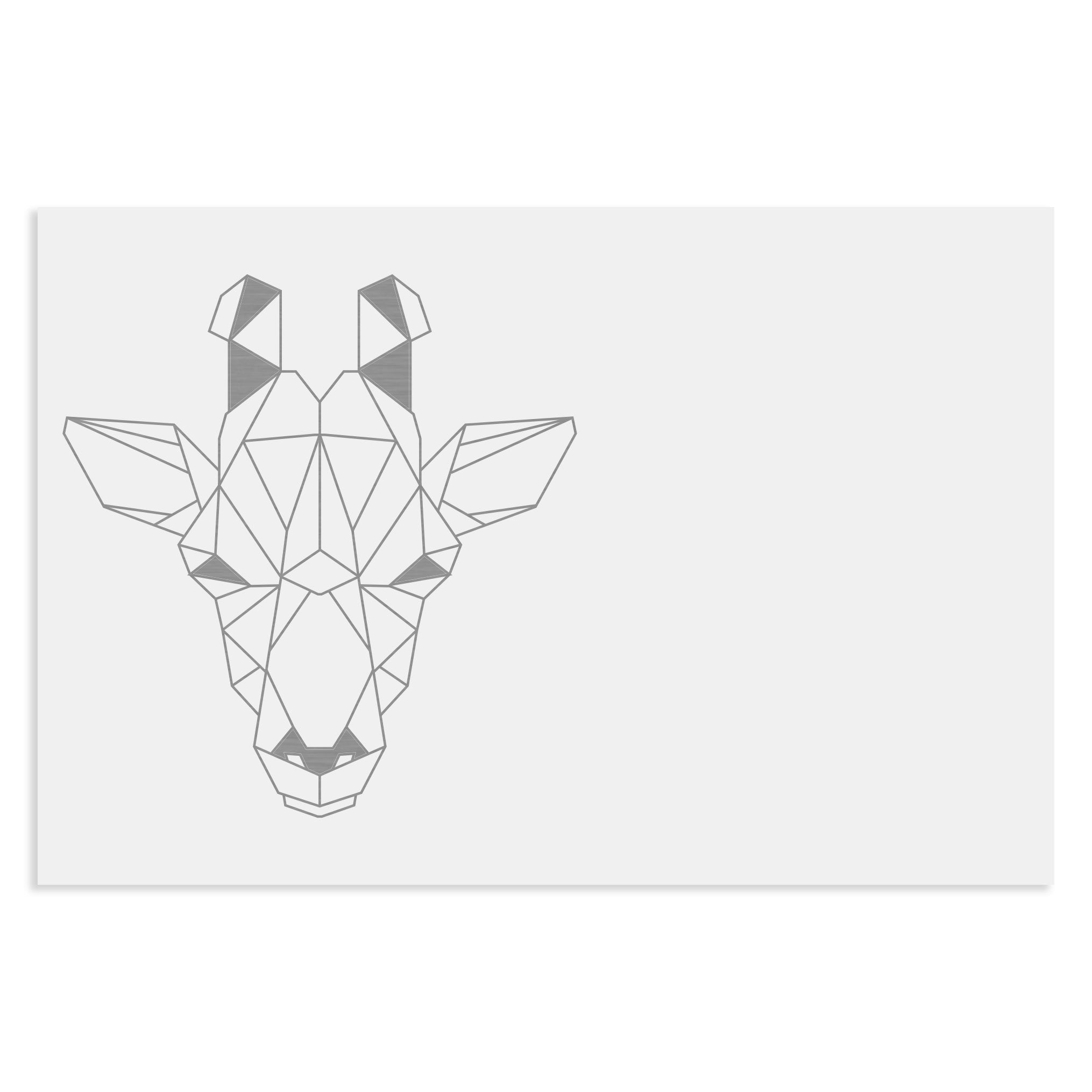 Edelstahlschild Geometrische Figuren,120 X 80 mm, Anthrazit, Weiß, oder Edelstahl