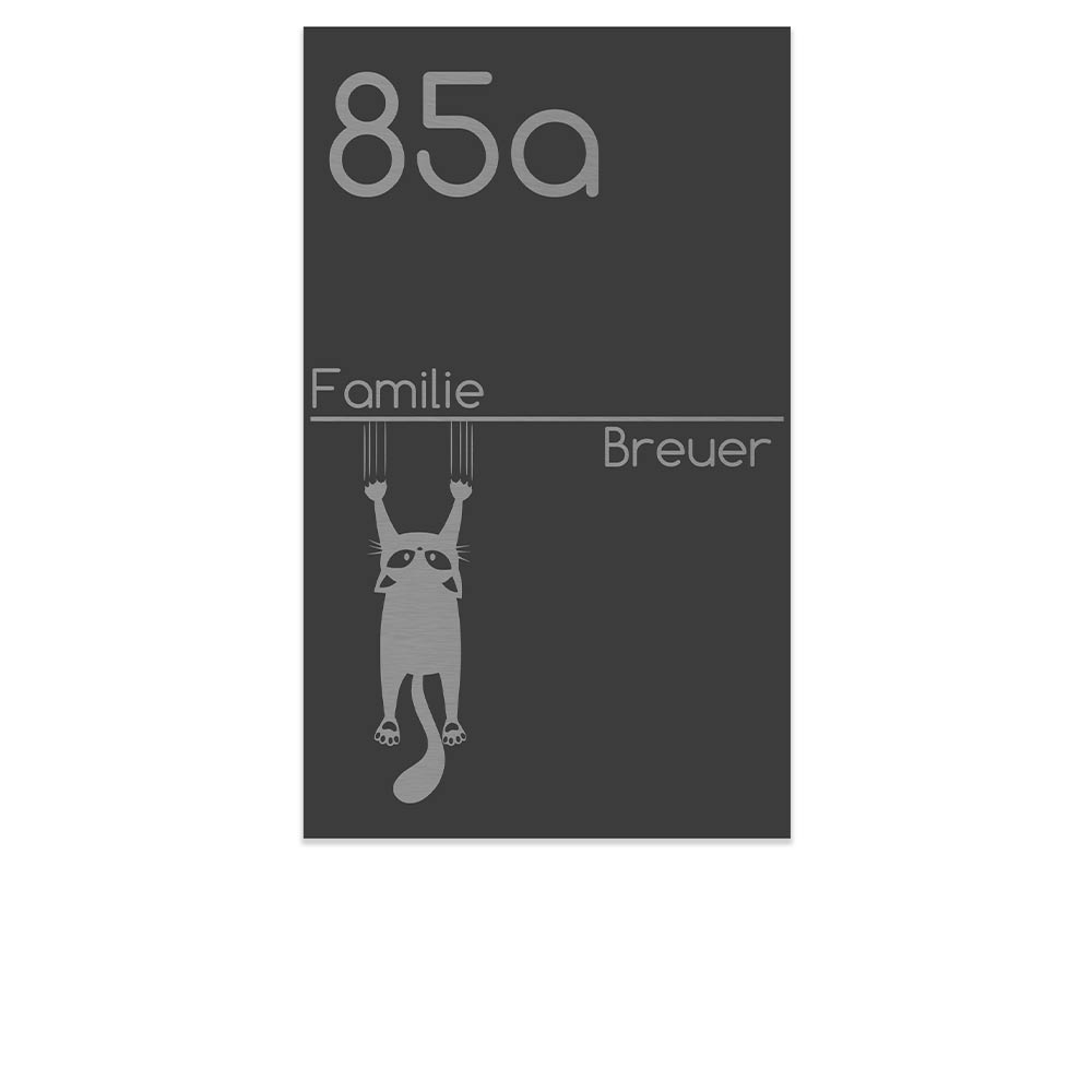 Edelstahl Schild mit Motiv Katze, Anthrazit RAL 7016 pulverbeschichtet, individuell personalisierbar