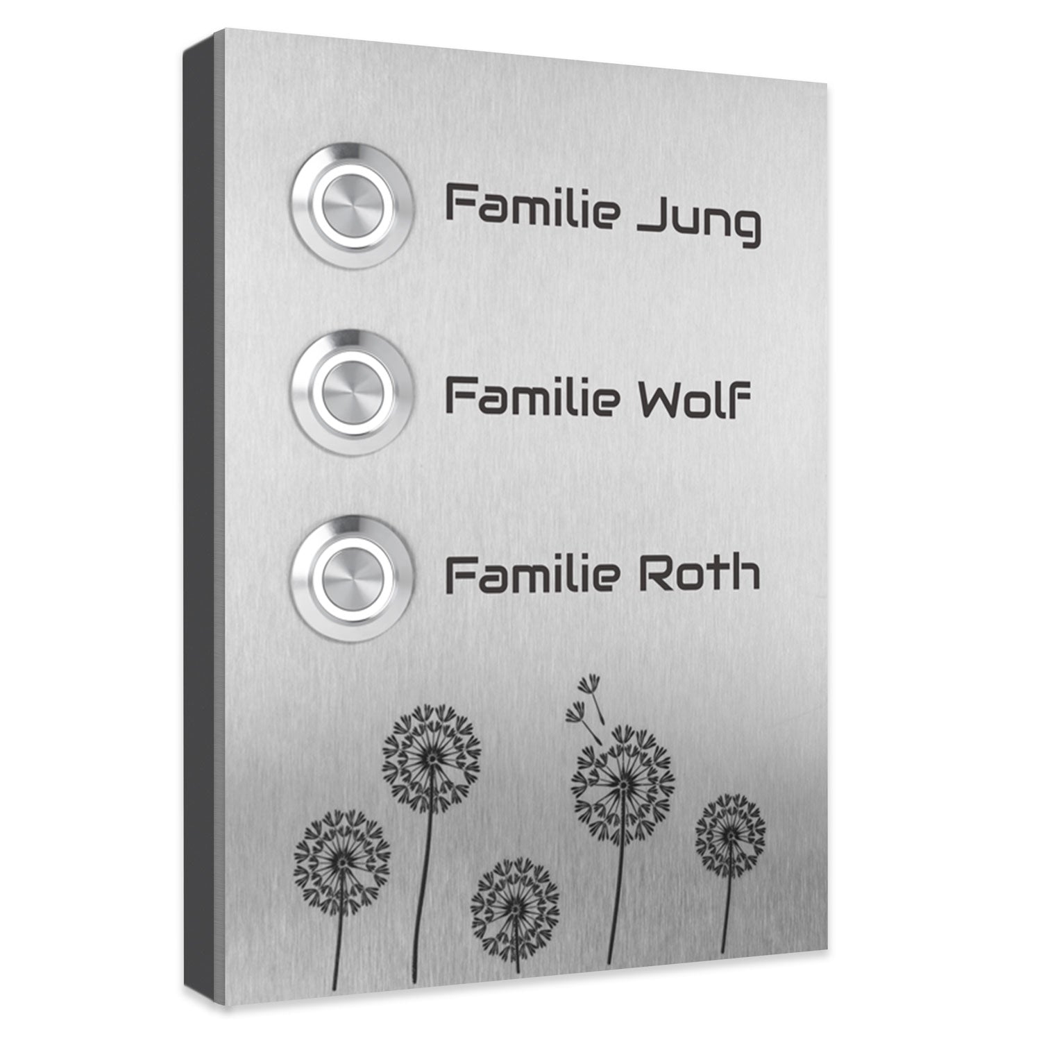 Edelstahl Dreifamilienhaus Türklingel Kiel mit Motiv Pusteblume , individuell personalisierbar