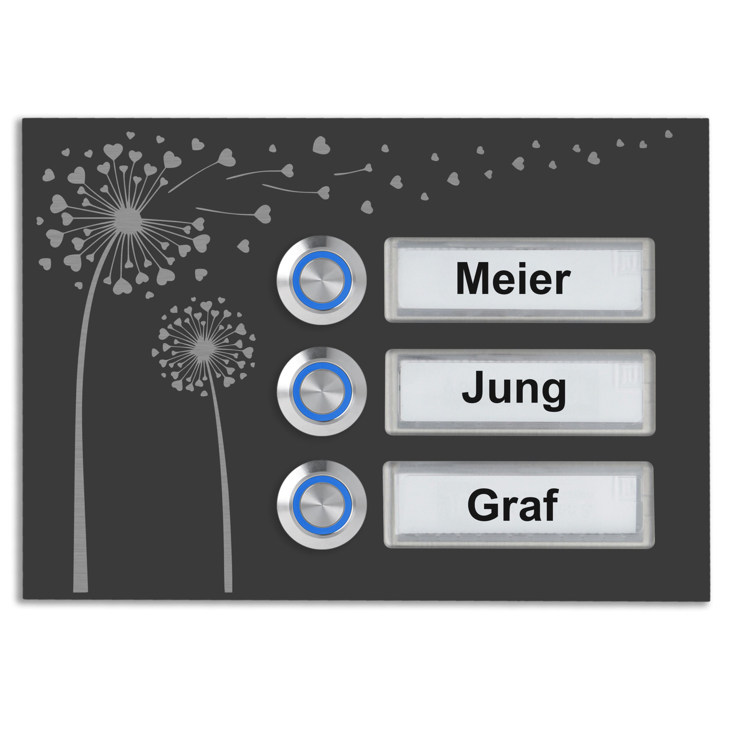 Bozen 17 x 12 cm Edelstahl (V2A) Türklingel - Dreifamilienhaus Klingel - mit Schriftfeldern - Anthrazit / Weiß - LED - Aufputz / Unterputz