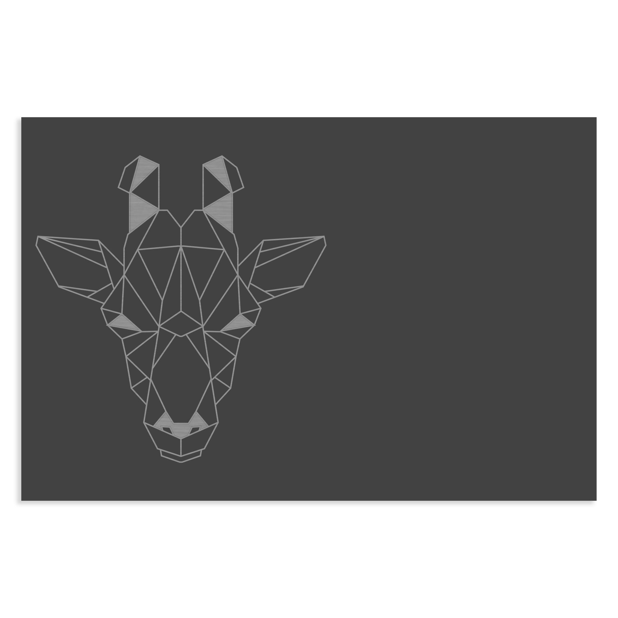 Edelstahlschild Geometrische Figuren,120 X 80 mm, Anthrazit, Weiß, oder Edelstahl